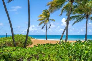 Luxury Ocean Front Villa 8487-88 - Rio Grande - 4