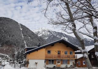 Haus Idili - Sankt Gallenkirch - 8