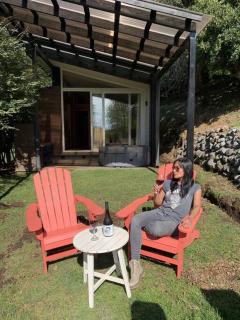 Wine Lodge Pucón - Pucón - 9