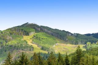 Lion Square Lodge South 556 - 1