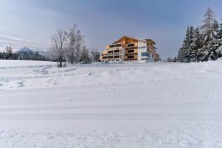 Waldrand Apartments - Ramsau am Dachstein - 6