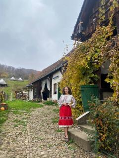 Entire House @Saschiz 130 - 5