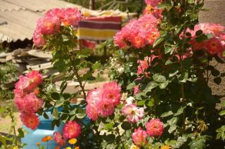 Гостевой дом Sabyl - 8