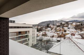 KUDO - Mountain & Skyline view - Braşov - 3