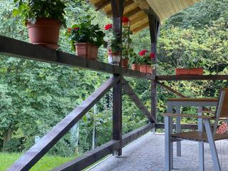Casa La Poalele Muntelui - Sinaia - 5