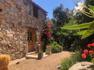 Villa de type bergerie 3 chambres avec piscine - 7