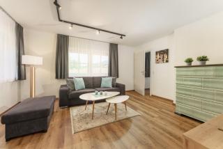 Neues Luxus APARTMENT DACHSTEIN - im Haus Wieseneck - inklusive SOMMERCARD ! - Ramsau am Dachstein - 3
