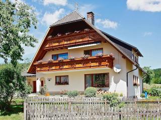 Haus Ingrid - Schluchsee - 8