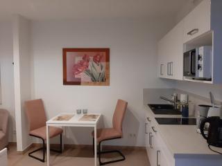 Über den Dächern von Flensburg Mürwiker Strasse 187 - Flensburgo - 7