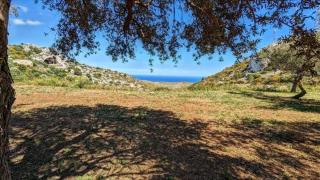 Cottage Sant Elia - Country Retreat - 2