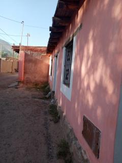 Entre Pajonales - Tilcara - 3