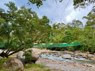 Chalet Kuala Woh Resort - Tapah - 1