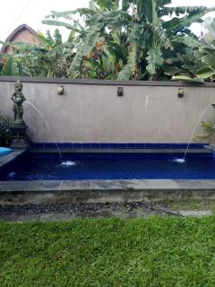 Villa Lanus - Ubud - 7