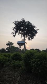 Kurumba Lodge - Wilpattu - 6