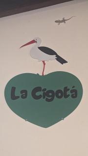 La Cigotà - Villa with swimming pool for 8 people - 6