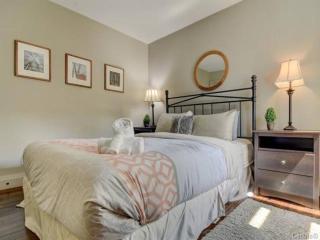 Charming Condo in the Mont Tremblant Ski Village - 8