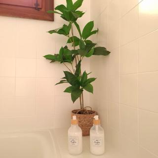 Pico Erata, wifi y renovado - Arafita Apartamentos - Biescas - 7
