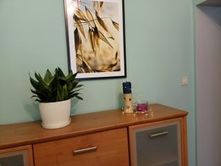 Apartament przy Dworcu Fabrycznym - Łódź - 7