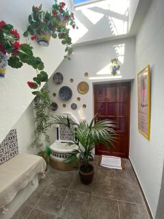 CASA RICARDO " LE GITE " - Arcos de la Frontera - 9