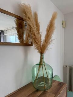 La Casa d'Isabelle - Saint-Estève - 9