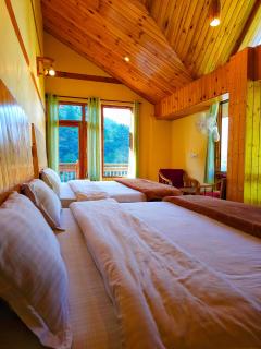 Crystal Mountain Jibhi - 1