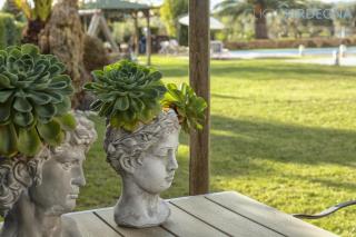 Large Villa Mediterranea in the heart of Coral Shore with swimming pool large garden with palm trees - Alghero - 9