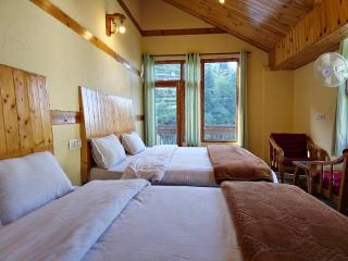 Crystal Mountain Jibhi - 3