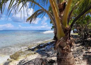Rairoa Natura Lodge - - 8