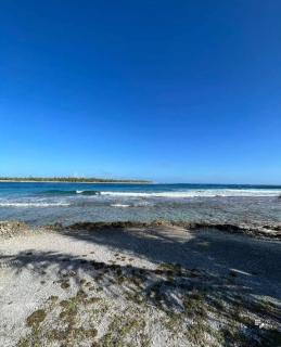 Rairoa Natura Lodge - - 6