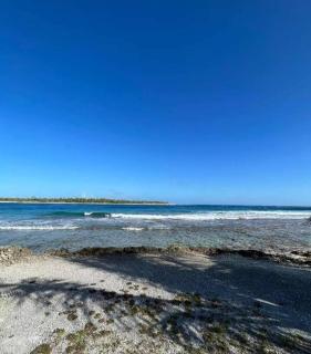 Rairoa Natura Lodge - - 4
