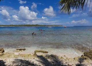 Rairoa Natura Lodge - - 3