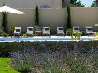Authentique ferme avec piscine Eyguieres LS1-195 - 3