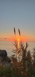Marica House Spiaggia Coreca Amantea - Amantea - 2