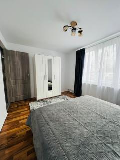 Apartament central - Buziaş - 3