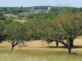 Charmante maison avec climatisation, WiFi et animaux admis à Puycousin - FR-1-616-391 - 4