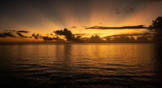 Tavaetu Guesthouse - île de TUBUAI - 1