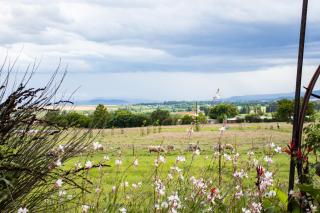 Drakensview Self Catering - Winterton - 5
