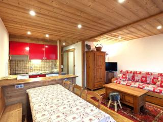 Appartement cosy 4-6 pers balcon, ski au pied, parking couvert - FR-1-459-27 - La Clusaz - 8