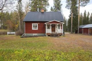 House Arctic Wolf - Blattnicksele - 7