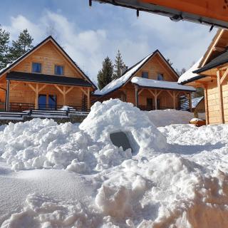 Borowikowe Zacisze drewniane domy z dostępem do balii i sauny - 5