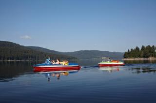 Haus Schluchseeblick - Schluchsee - 6