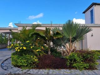 Coconut Alley - Trou d'Eau Douce - 9