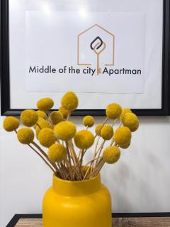 Middle of the city apartmann - Pécs - 9