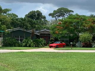 Wilton Manors A Mens Oasis - Fort Lauderdale - 9