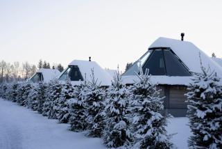 Reindeer Manor Levi - Levi - 2