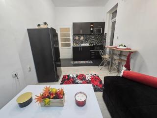 Alexis Apartman - Belgrade - 8