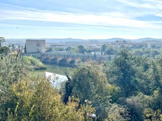 El Balcón del Puente Romano con Parking Gratis - Córdoba - 7