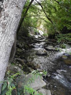 Yogi House Meditation Retreat - Topton - 8