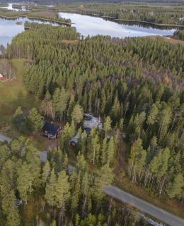 House Arctic Wolf - Blattnicksele - 0