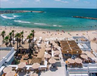 Luxury Studio Beach Flat 528 - Tel Aviv - 2